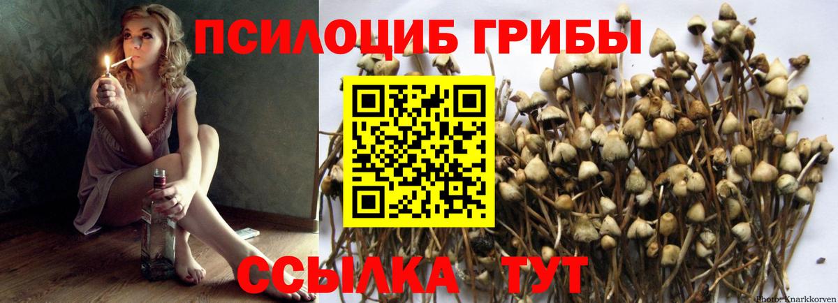Галлюциногенные грибы ЛСД  Вход с VPN  Псилоцибиновые грибы GOLDEN TEACHER  Серов 